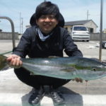 ５月３０日　ブリ　メジロ　太刀魚　サワラ　シイラ　ヒラメ