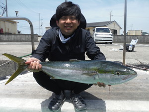 ５月３０日　ブリ　メジロ　太刀魚　サワラ　シイラ　ヒラメ