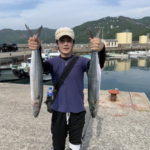 ６月６日　シイラ　太刀魚　サワラ　メジロ
