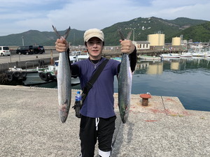 ６月６日　シイラ　太刀魚　サワラ　メジロ