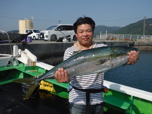 ６月２０日　シイラ　太刀魚　サゴシ　ブリ