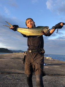 ７月１５日　シイラ　サワラ　ソーダ鰹　太刀魚