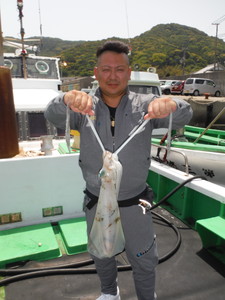 ５月９日　ブリ　メジロ　ハマチ　アオリイカ　太刀魚